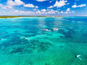 Discover The Wanders of a Catamaran & Snorkel Day in Cap Cana